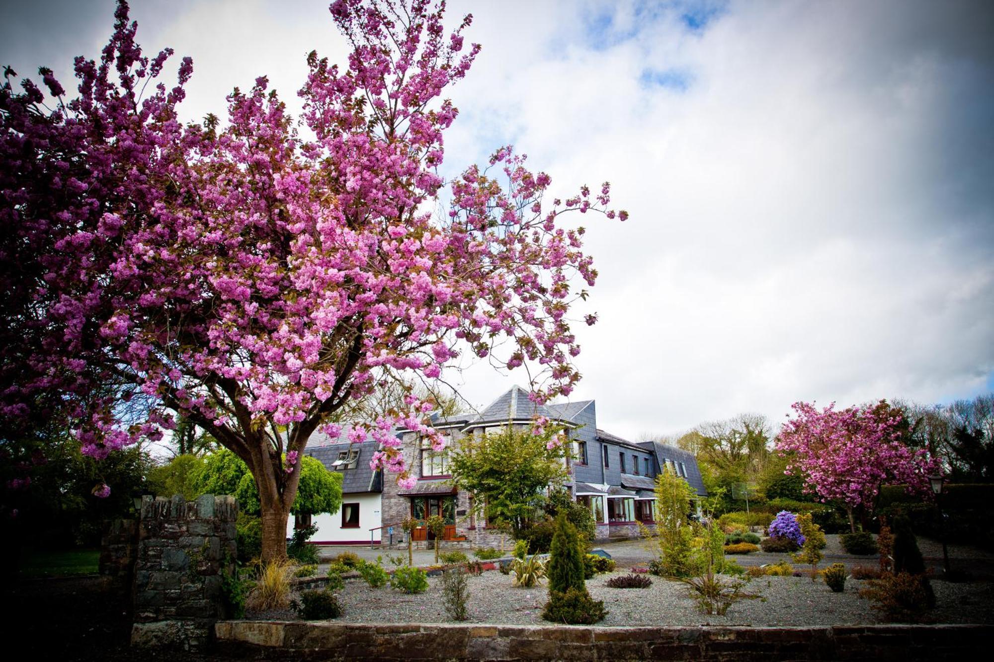 Kathleens Country House Lower Coolcorcoran Dış mekan fotoğraf