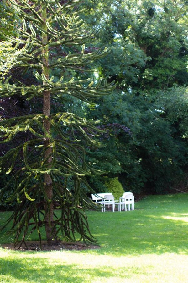 Kathleens Country House Lower Coolcorcoran Dış mekan fotoğraf